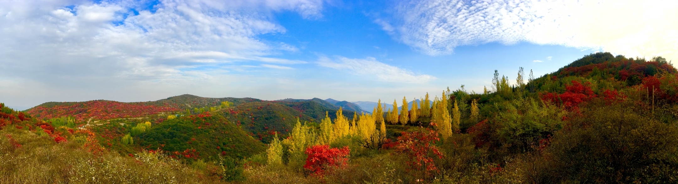 巩义市青龙山五彩秋景