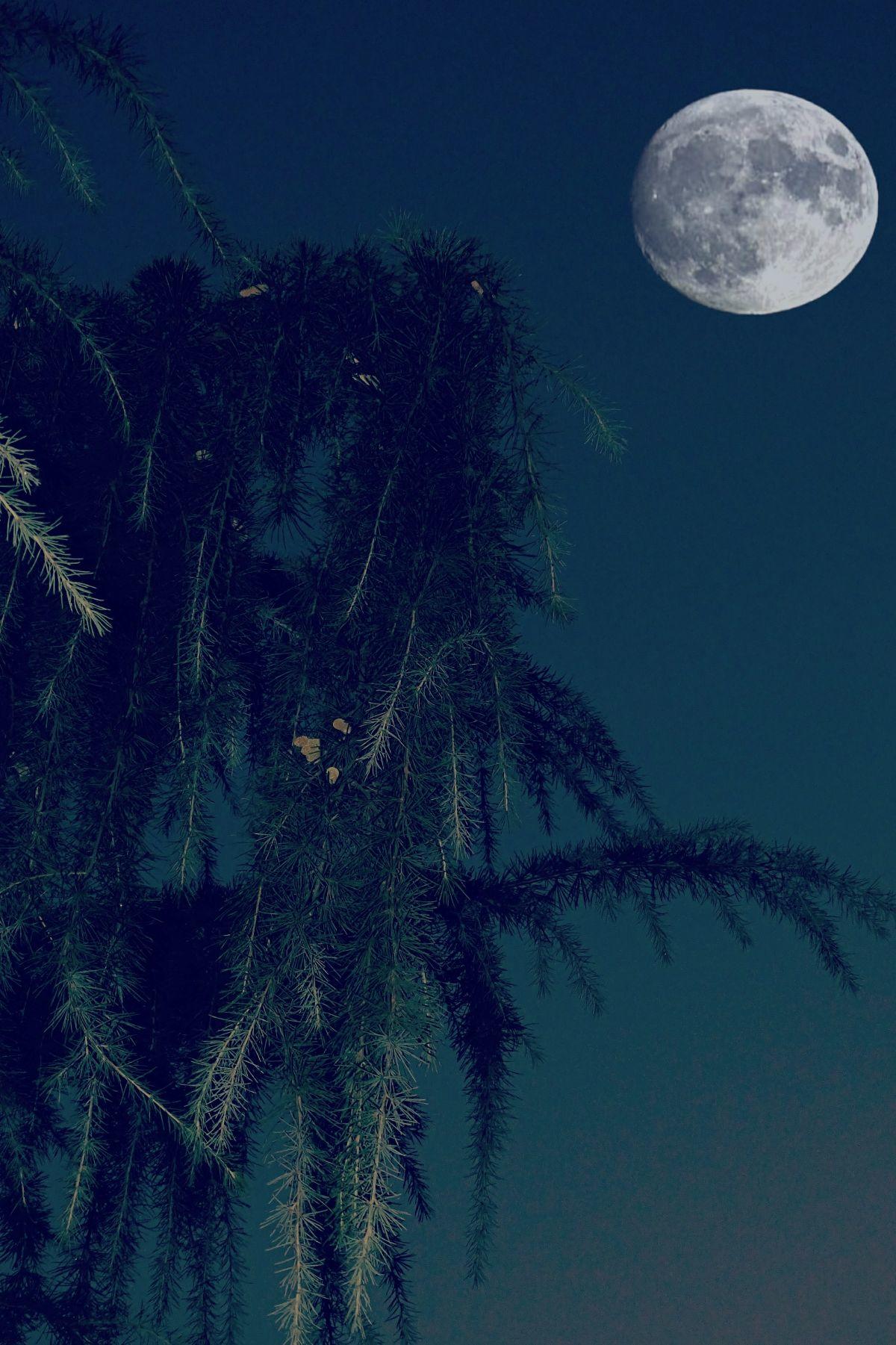明月松间照的意境图片