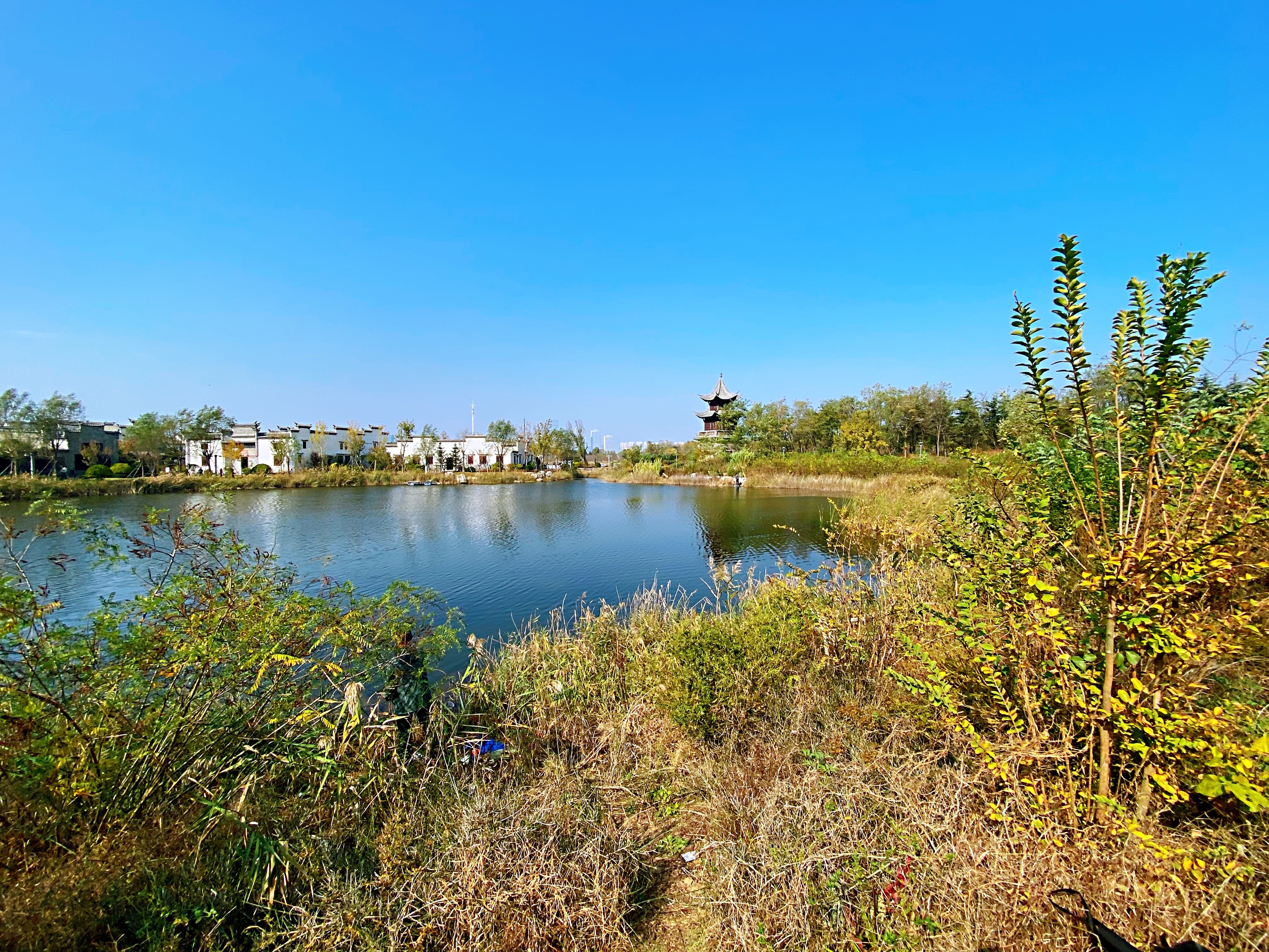 海西湿地撷秋(首发)