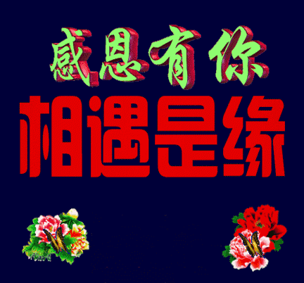 432_402gif 动态图 动图