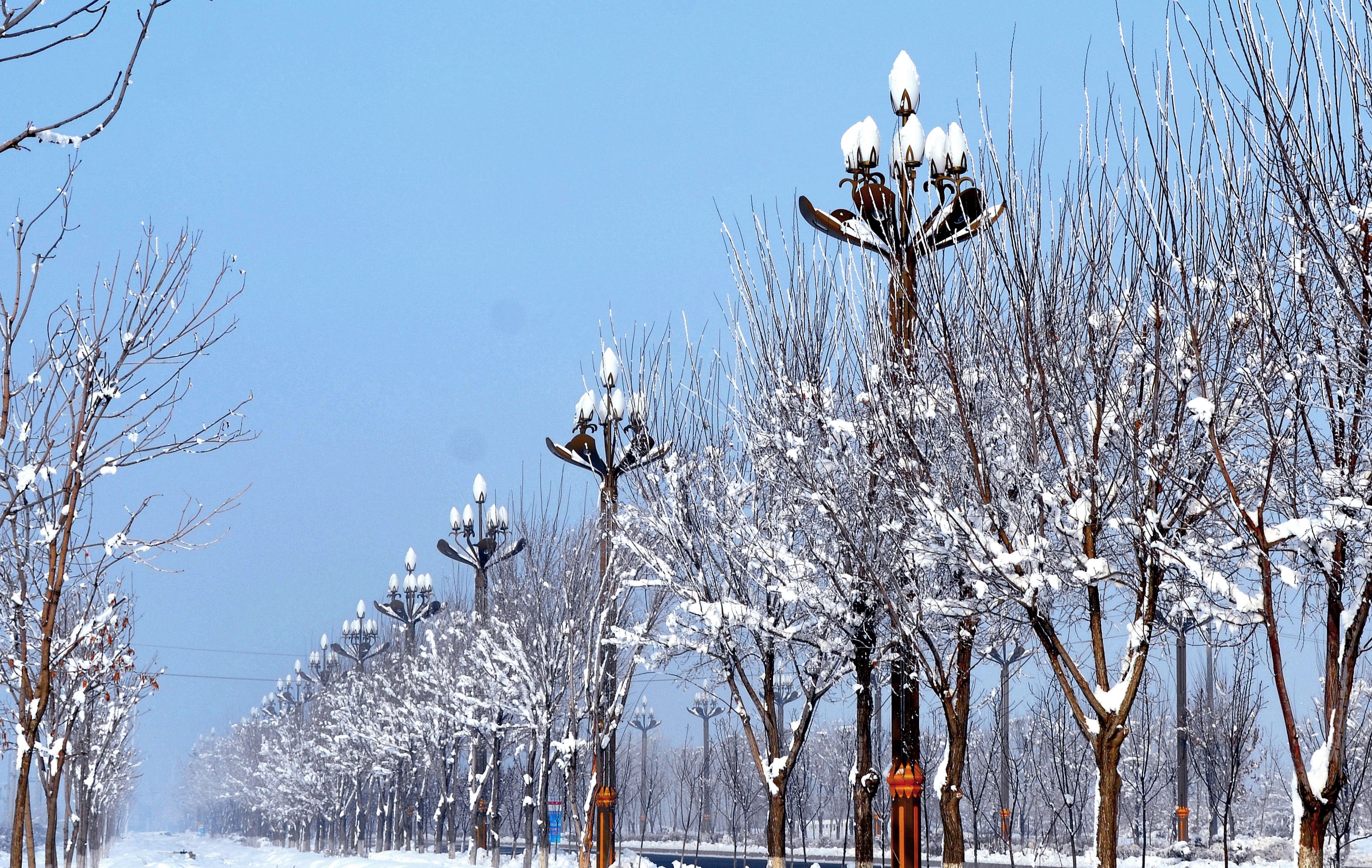 我愛你塞北的雪新疆石河子雪景欣賞