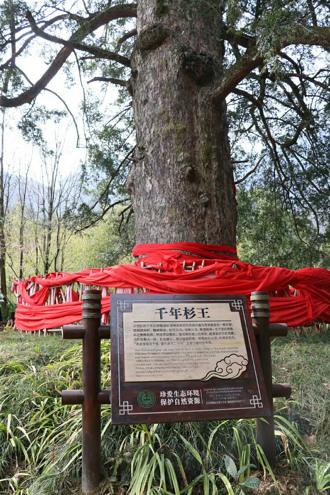 三门峡相逢户外群游湖北神农架