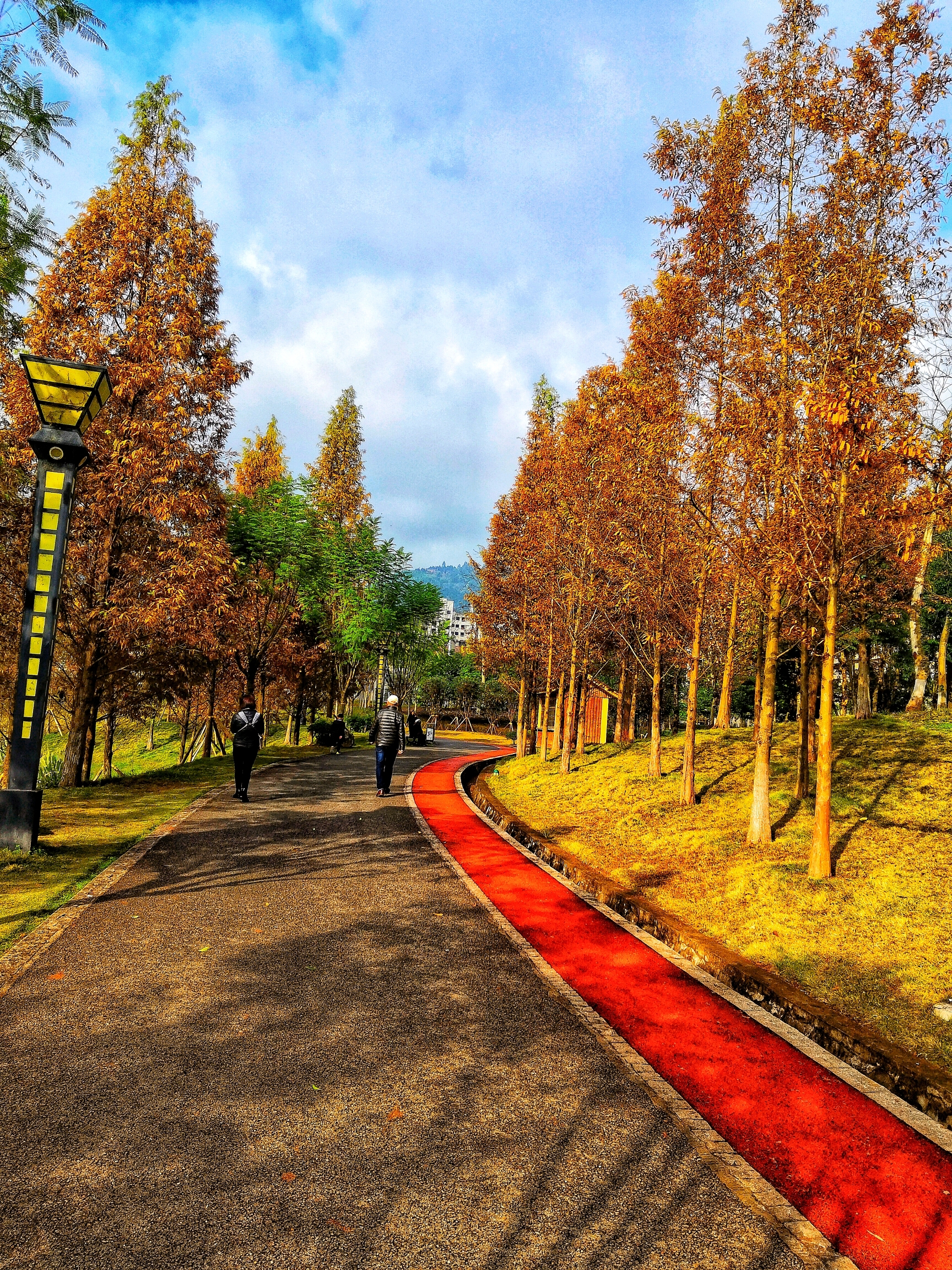 又是入冬时的垫江牡丹湖公园美景慑影春天演唱春天编辑春天