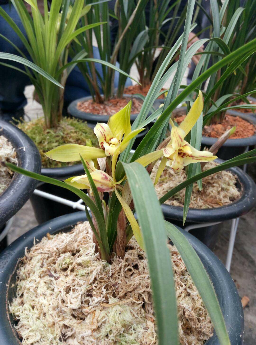 特别声明:本文观点仅代表作者本人,v篇仅提供信息发布平台.