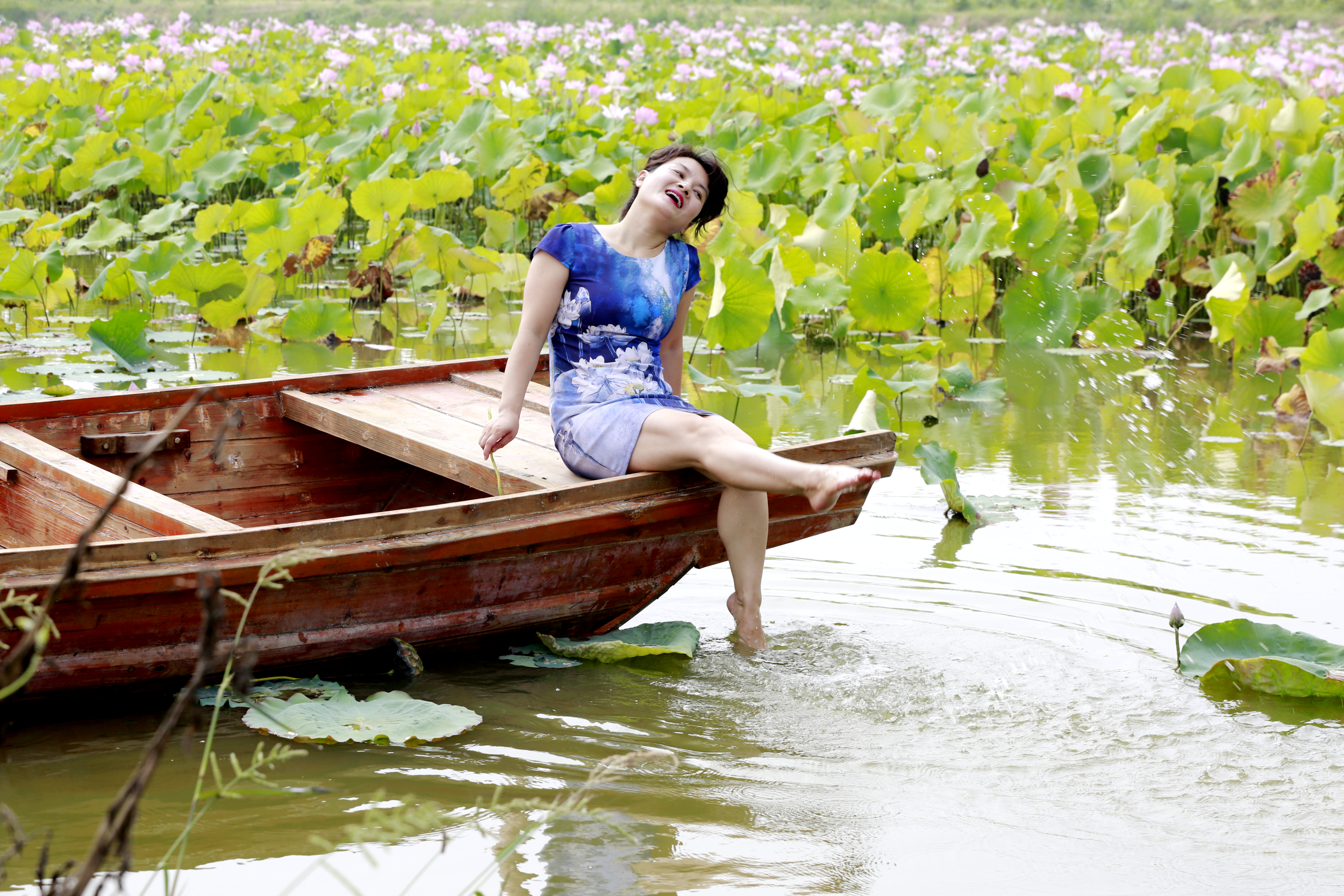 荷塘弄舟采莲女荷叶荷裙相映色