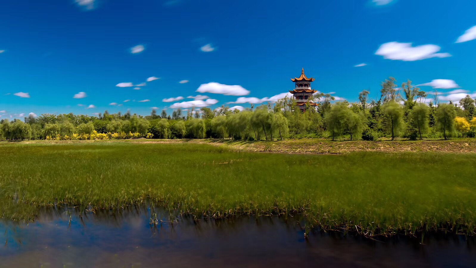 绥化森林植物园