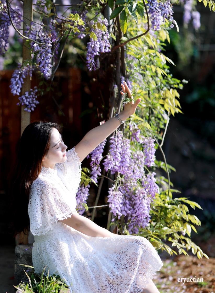 紫藤花图片 美女图片图片