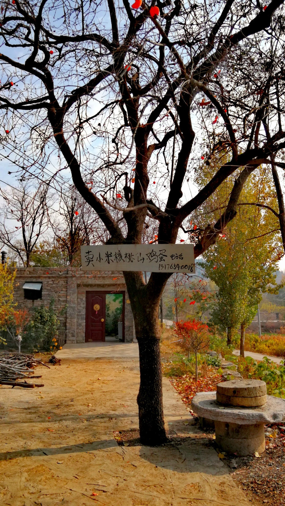 根据历资料记载,二奇楼村是红色革命根据地,泰安县委,肥城市委均曾在