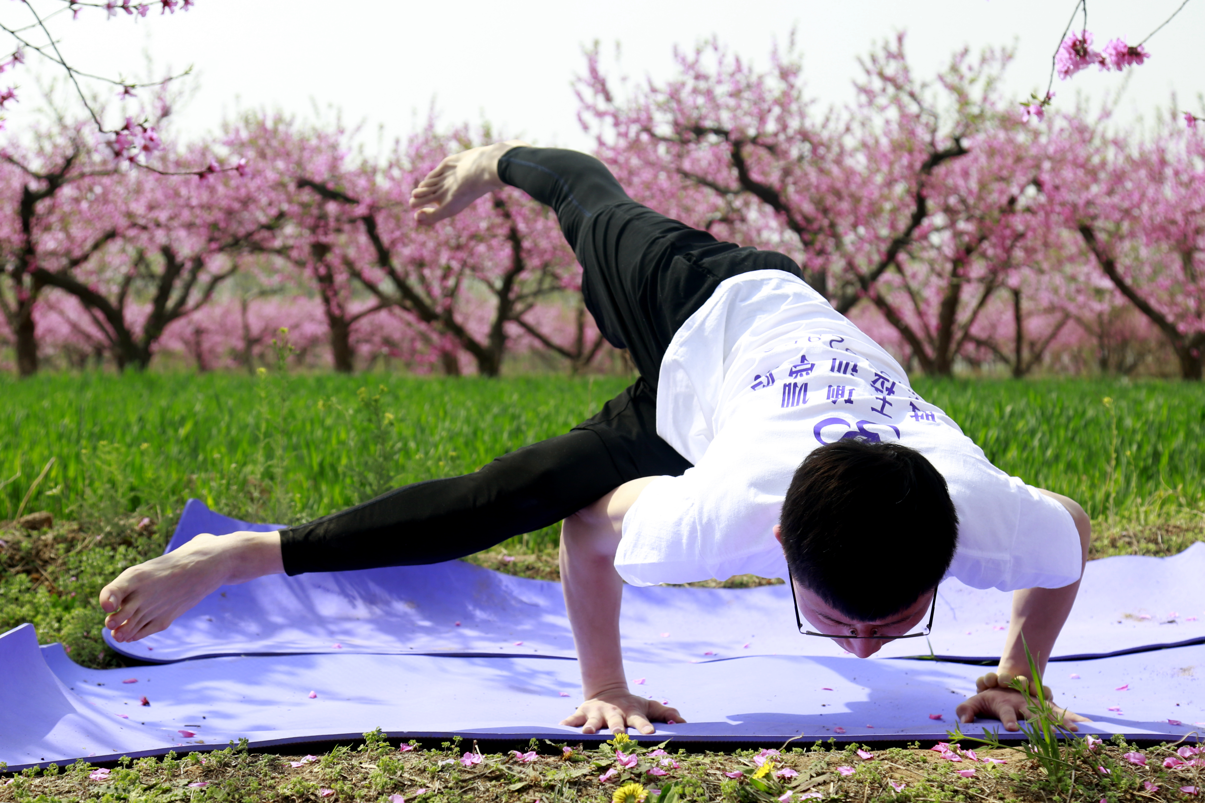 桃花园里瑜伽美人面桃花谁更红