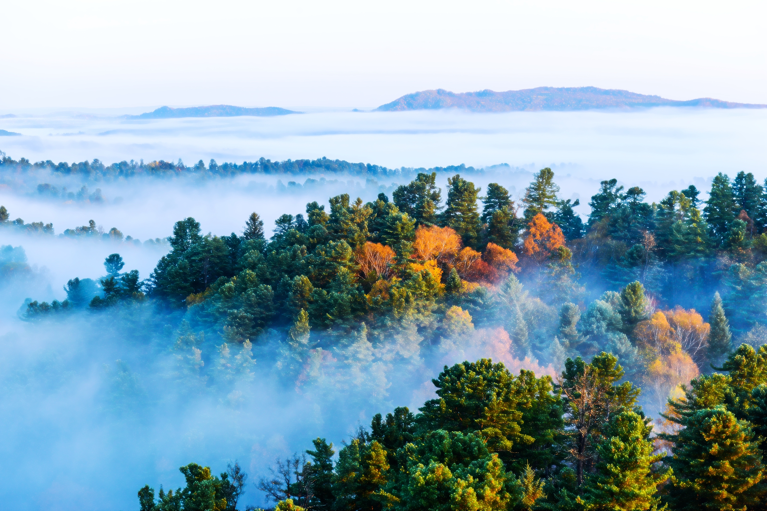 美丽祖国金秋林海