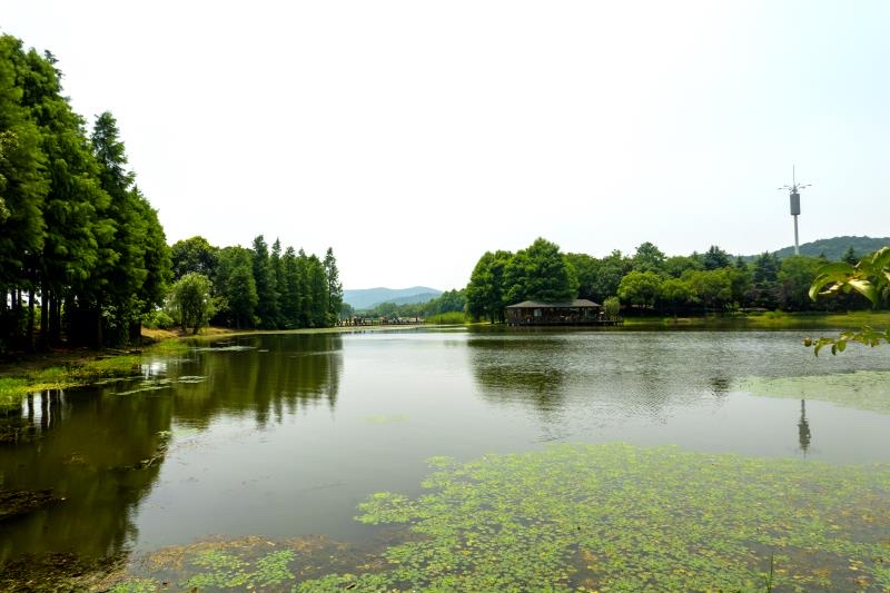 无锡十八湾湿地公园