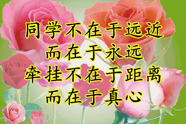 给老同学们的一封信