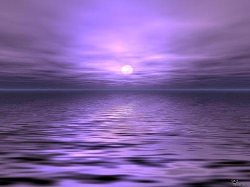 梦里有片紫色的海