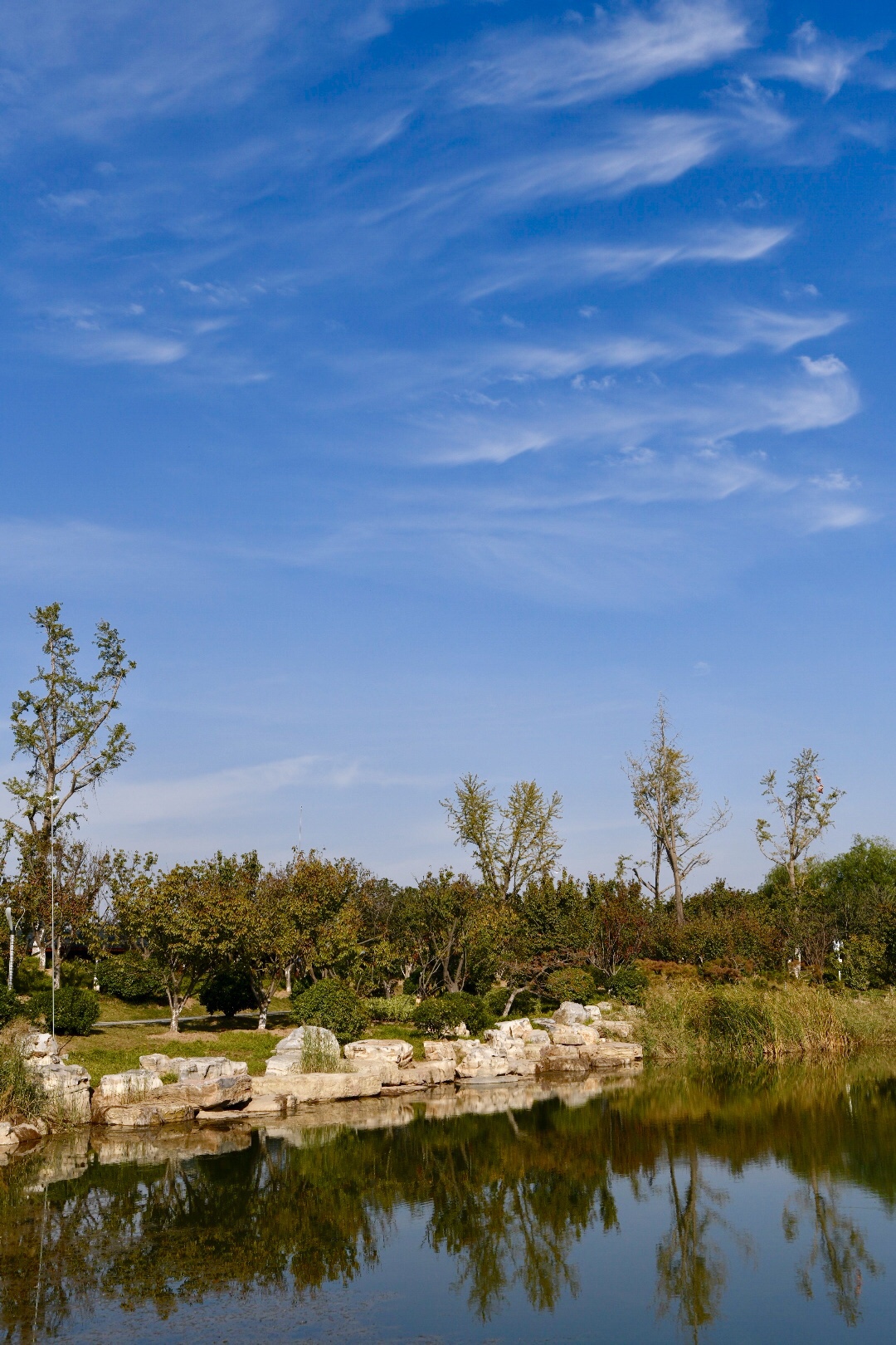 商丘应天公园          应天公园始建于2008年,位于风景秀丽的商丘