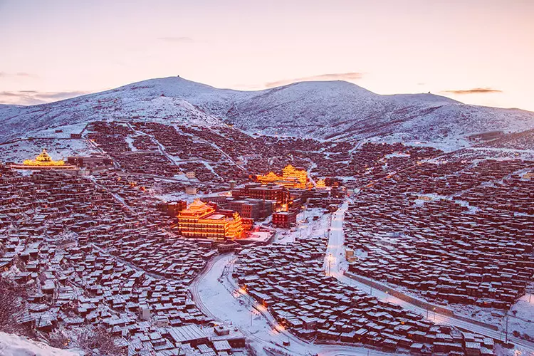 色达丨梦里,花朵是雪的血