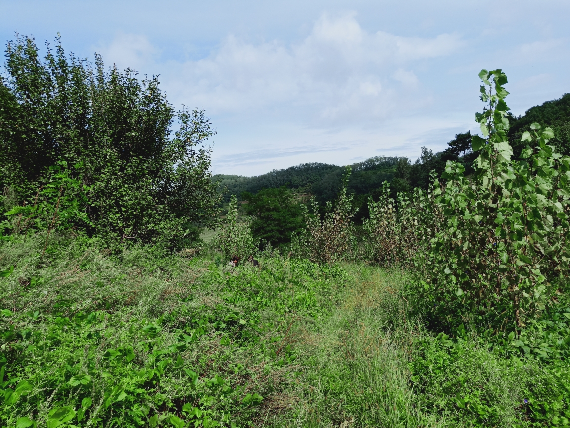 静静的小山沟,几天实地记录着美丽的早上至晚间美景,她的地理在铧子