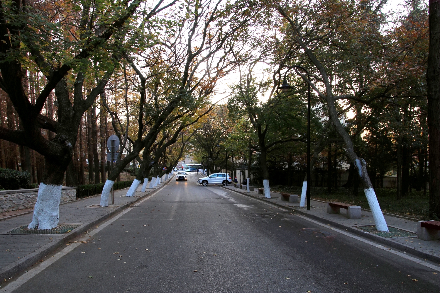 活动一,嘉峪关路(裸镜拍摄)