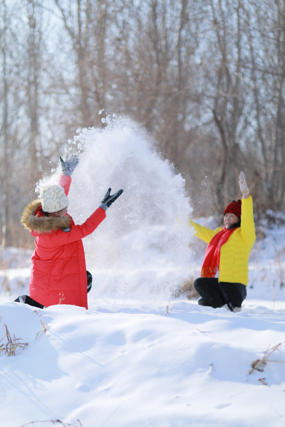 打雪仗照片真实图片