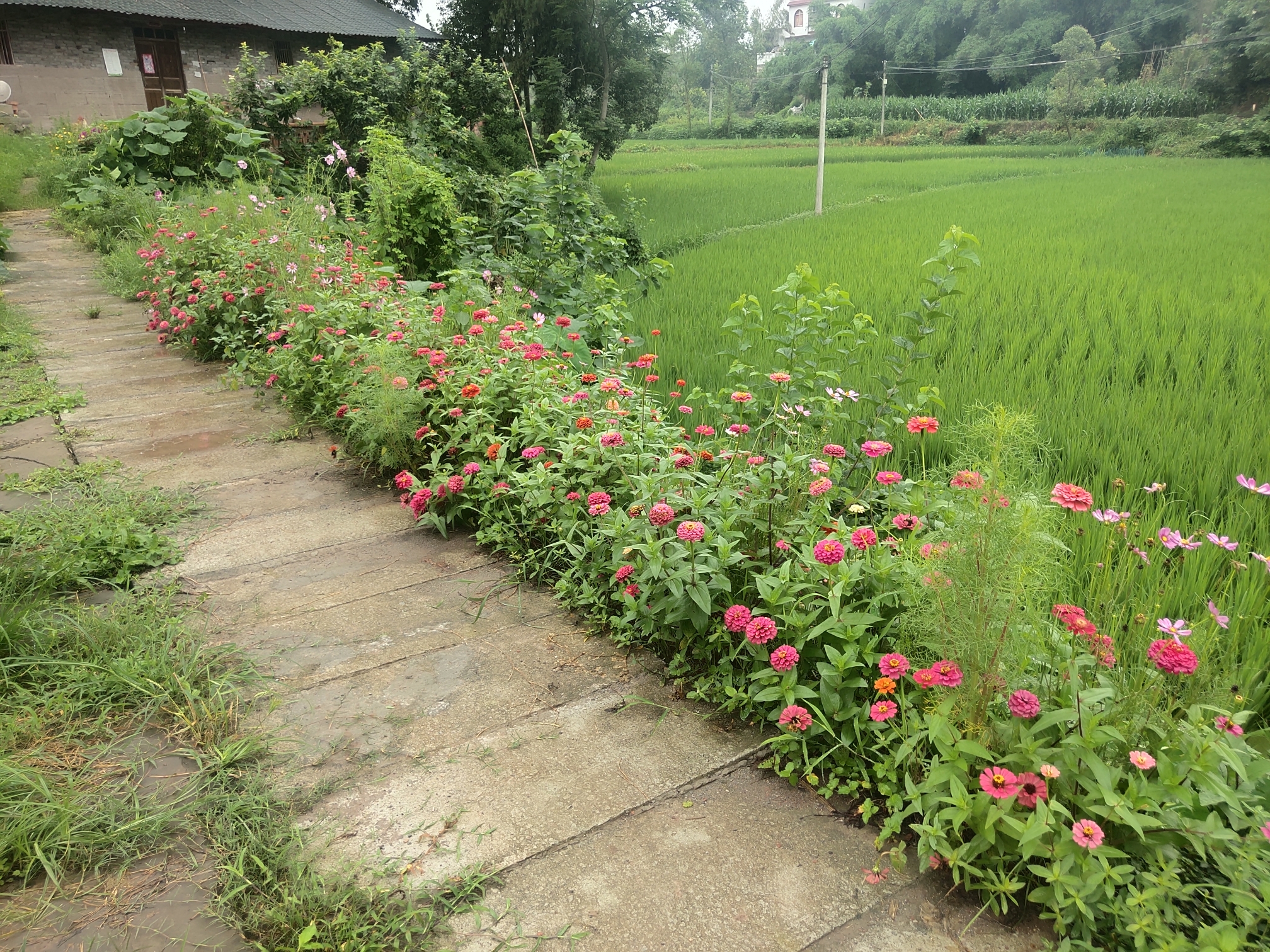 乡村巨变一一颠覆你的想像