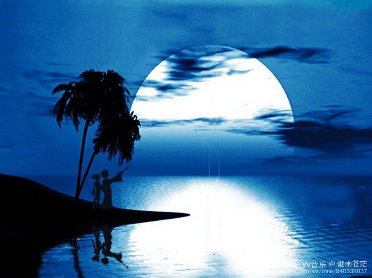 月光好美 宛如一条荡漾着温暖的河 漫漫的柔光 轻抚着所有声音和颜色
