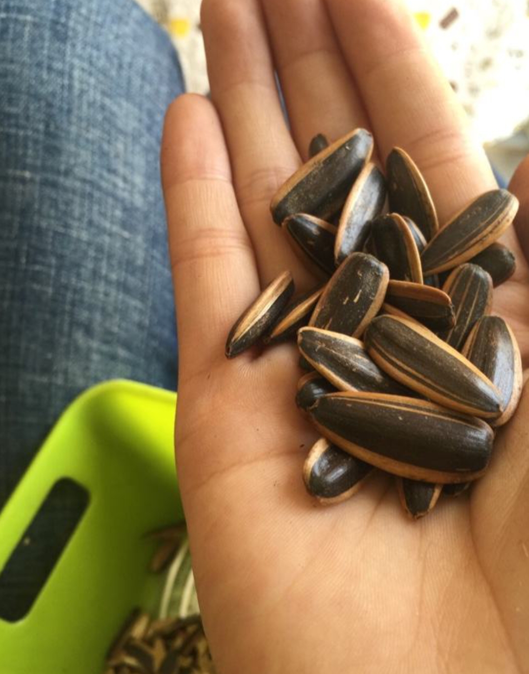 一把瓜子引起的海阔天空文字首发