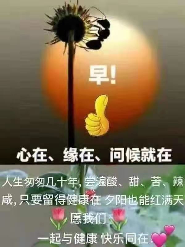晨语问候一句话,晨语问候图片,晨语美好的句子_大山谷图库