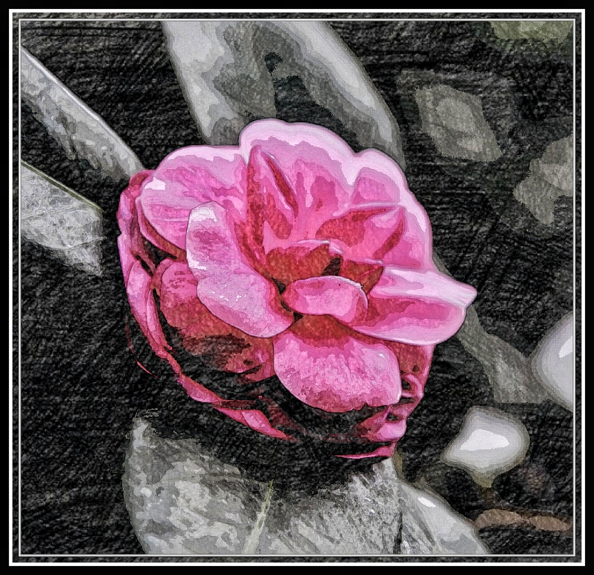 首发油画山茶花