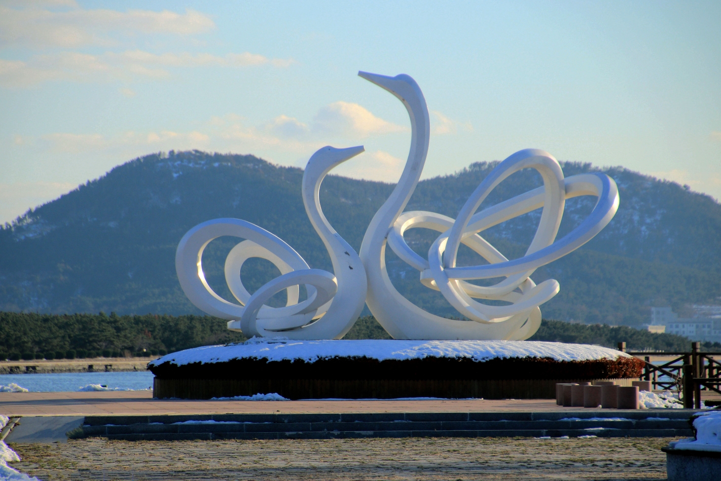 《烟墩角之行大天鹅拍摄活动在进行》青岛市老年大学18数码摄影一班