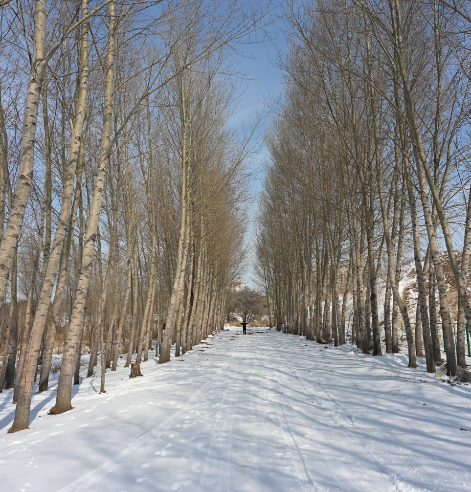 2019年3月22日,哈尔滨市下了大雪,呼兰区河边一片