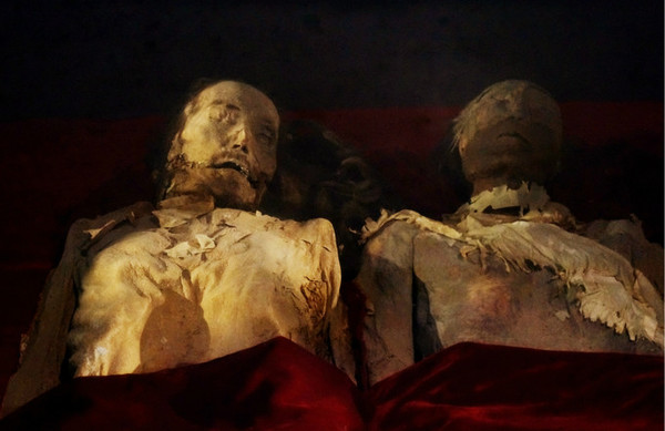 博物馆镇馆之宝巨犀与干尸61话说吐鲁番之四