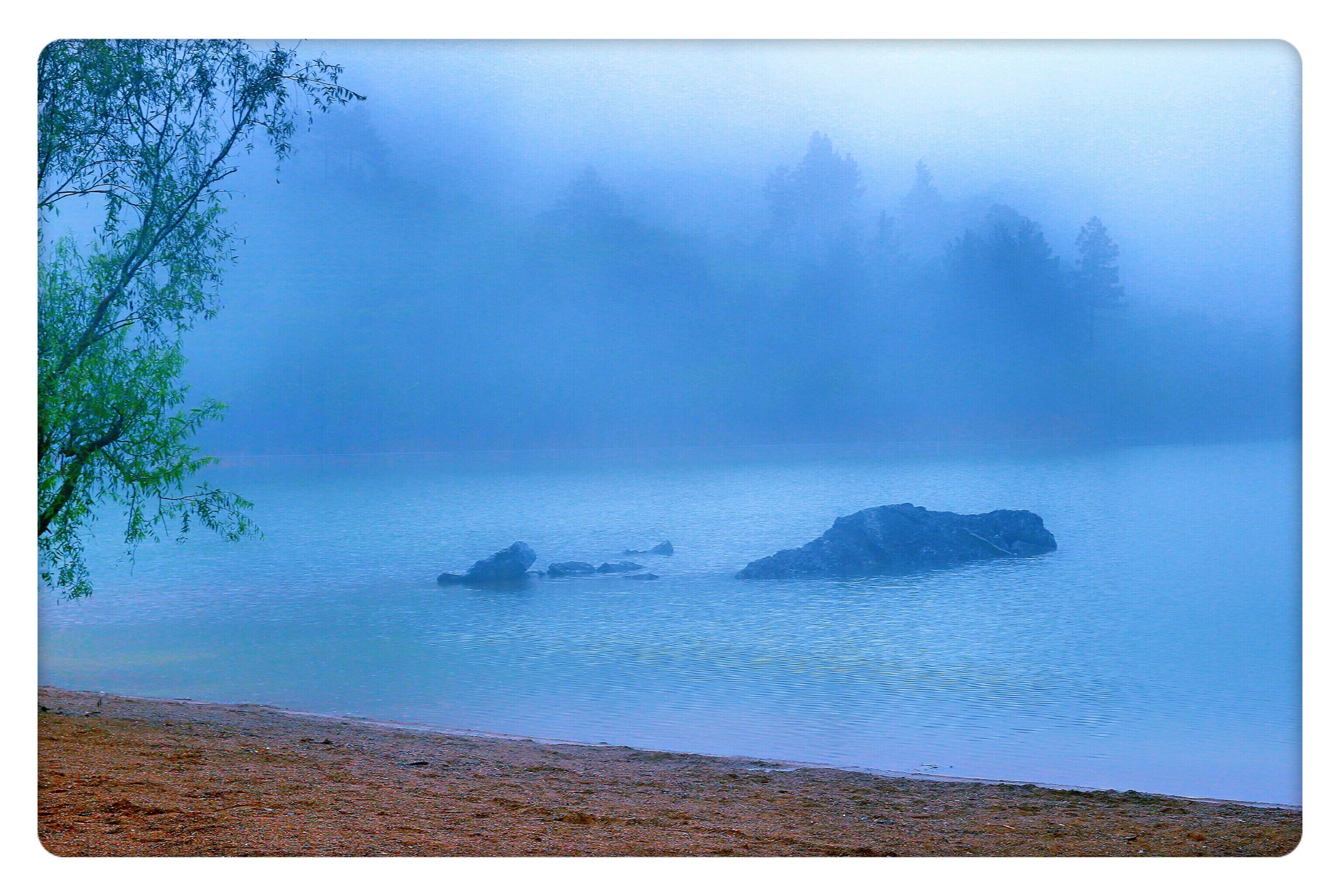 《宛若仙境》2019年7月14日摄于鹿女湖