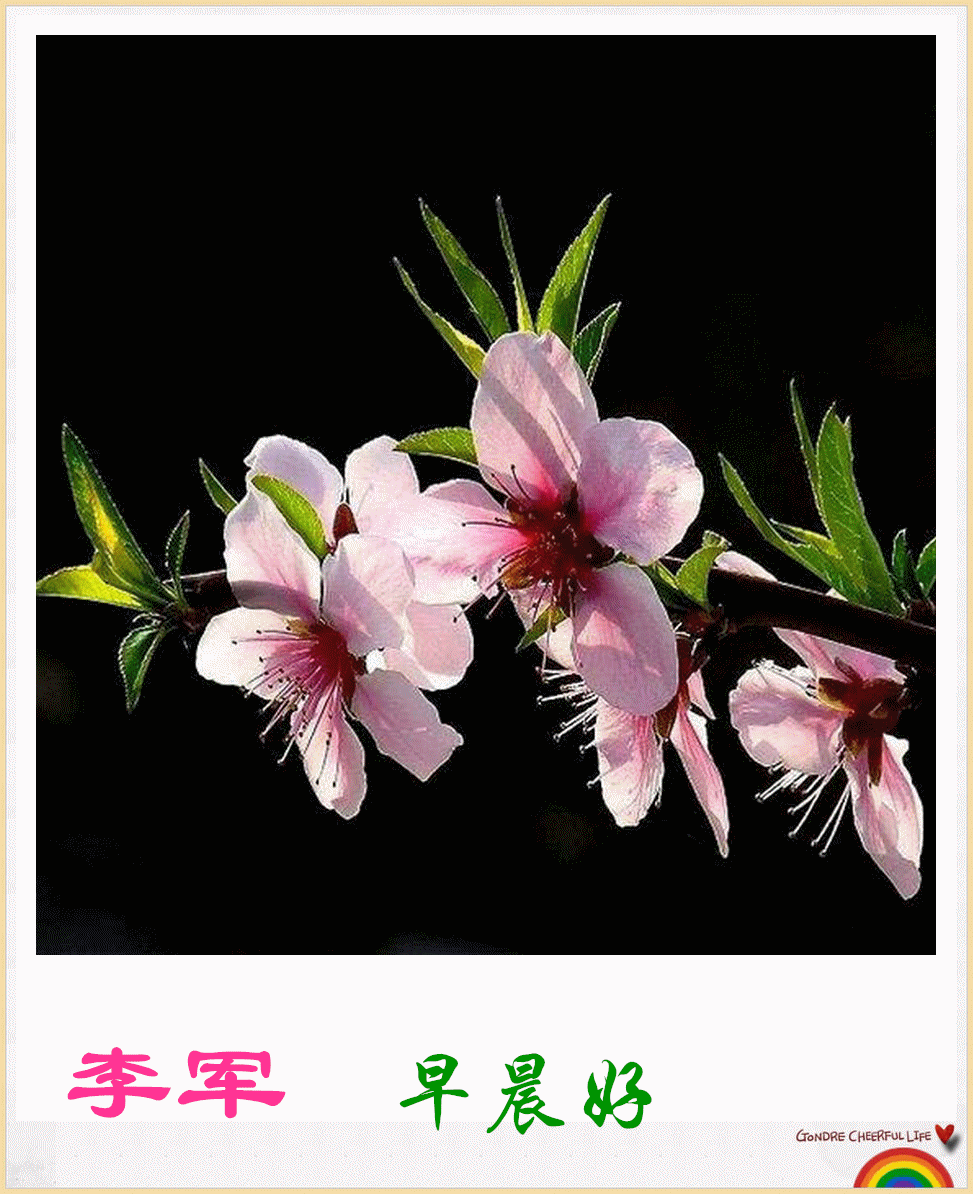 背景音乐:桃花开满三月天.演唱:乌兰托娅,云龙.