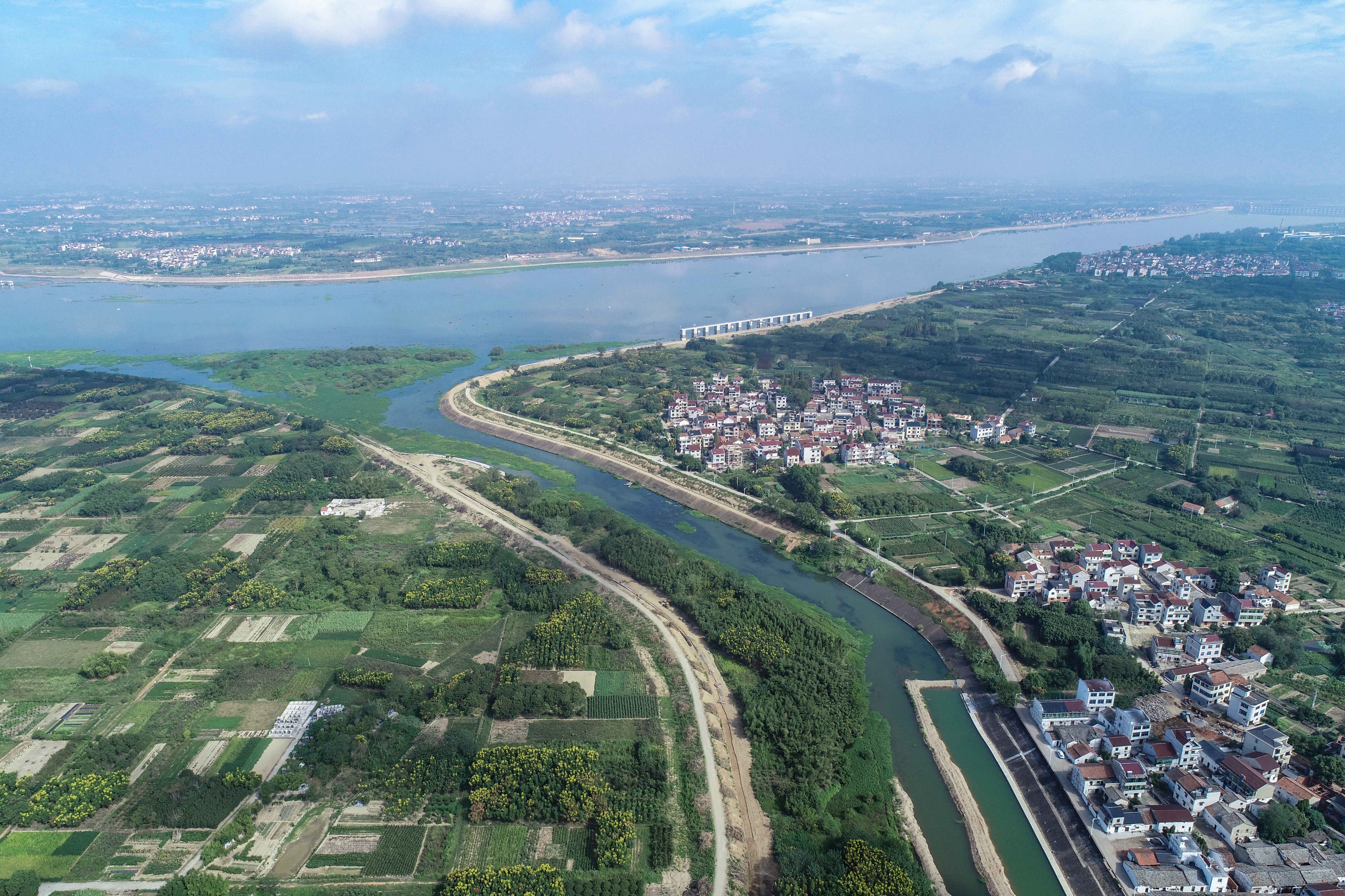 典型"树"起来,干劲"拿"出来开发区罗埠镇奋力创建全国文明城市