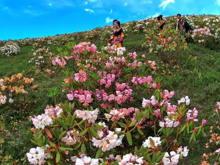 配乐诗朗诵悄然筑起心的长城作者弘华朗诵美美