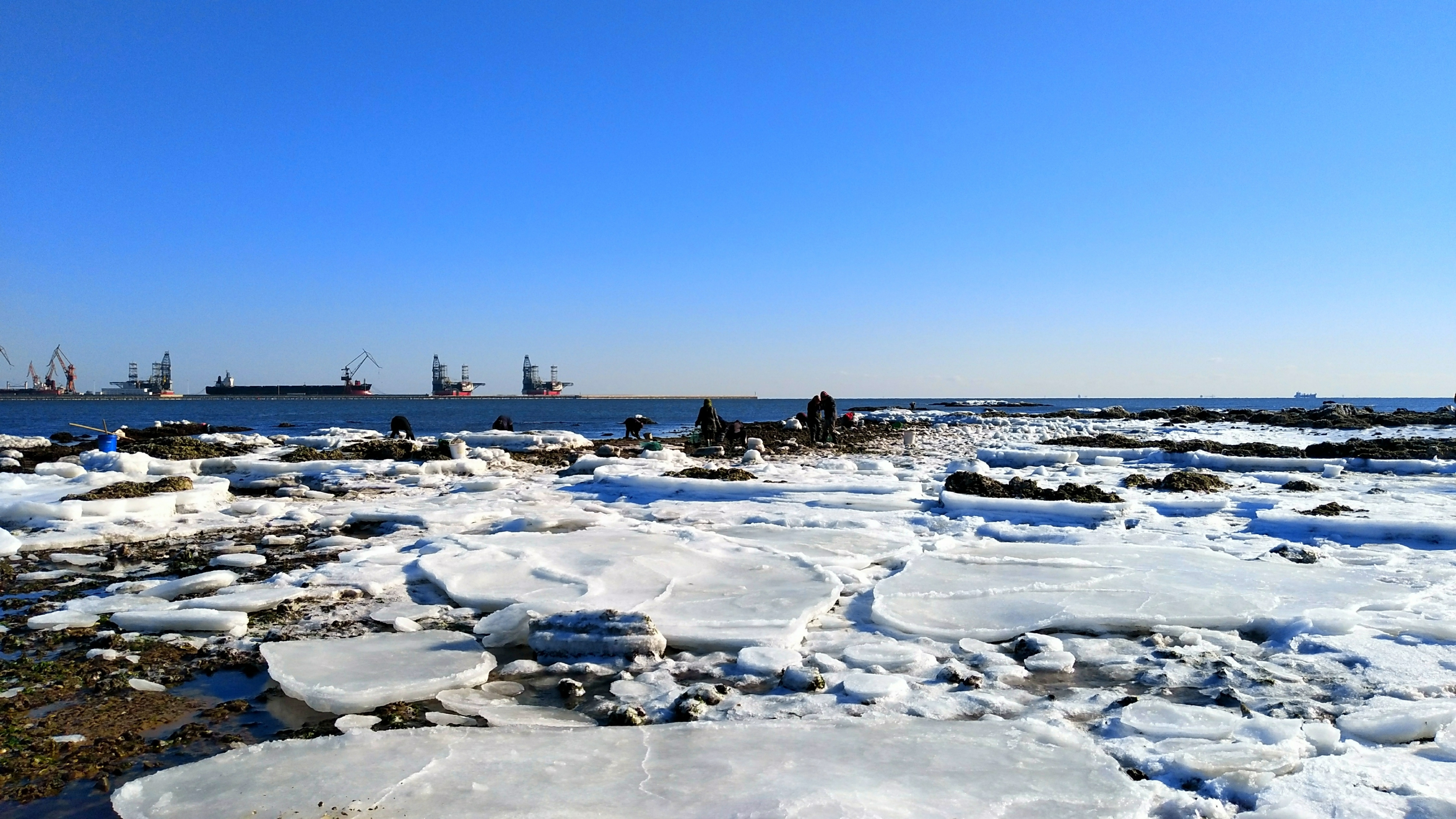你见过大海结冰吗首发
