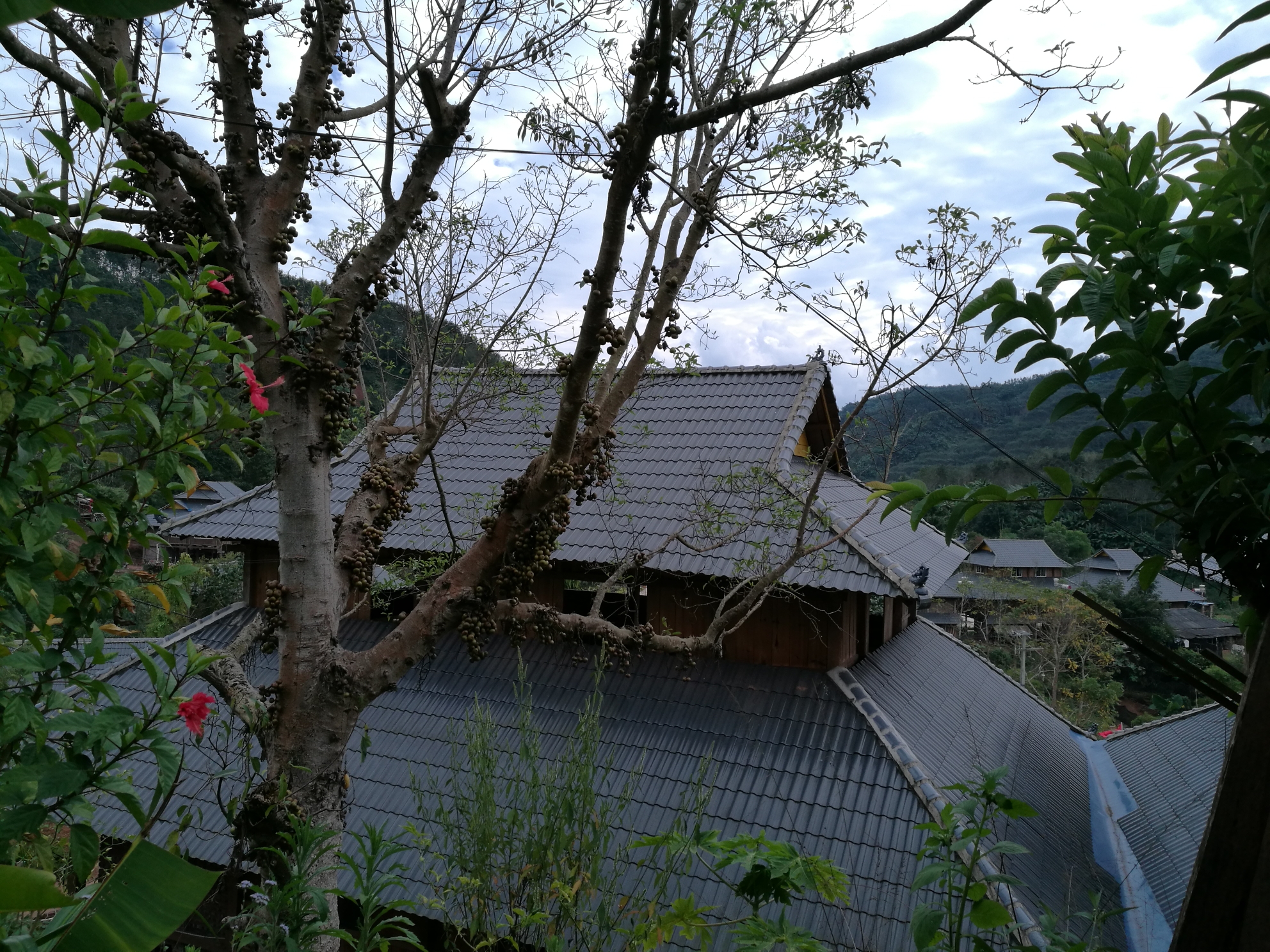 勐腊县勐伴镇红毛树村,经过三年的挂钩扶贫,如今已是旧貌换新颜.