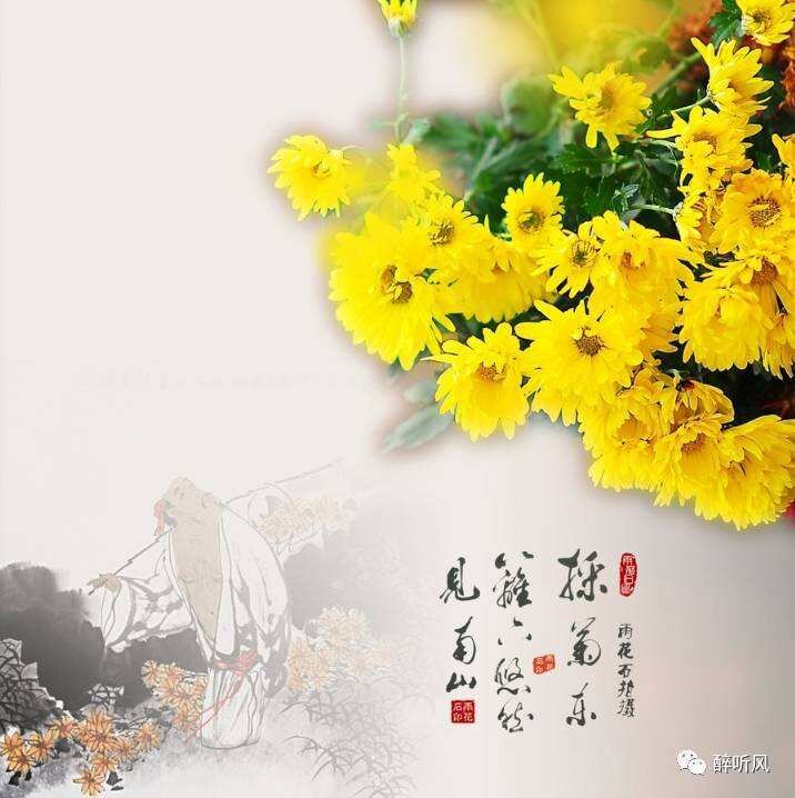 陶公祠的菊花