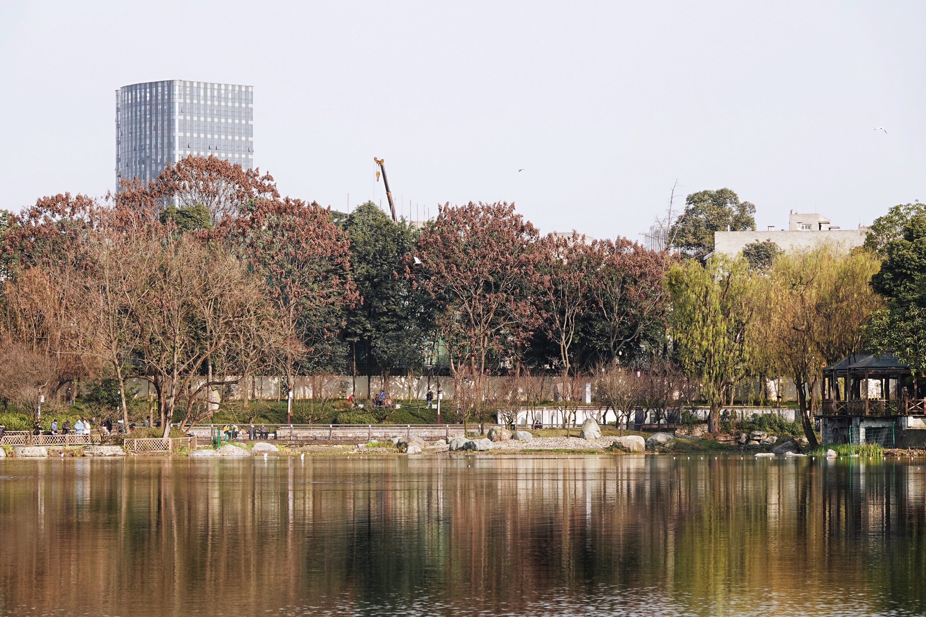 浣花溪公园沧浪湖图片