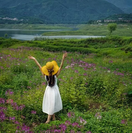 《心有阳光,岁月静好》
