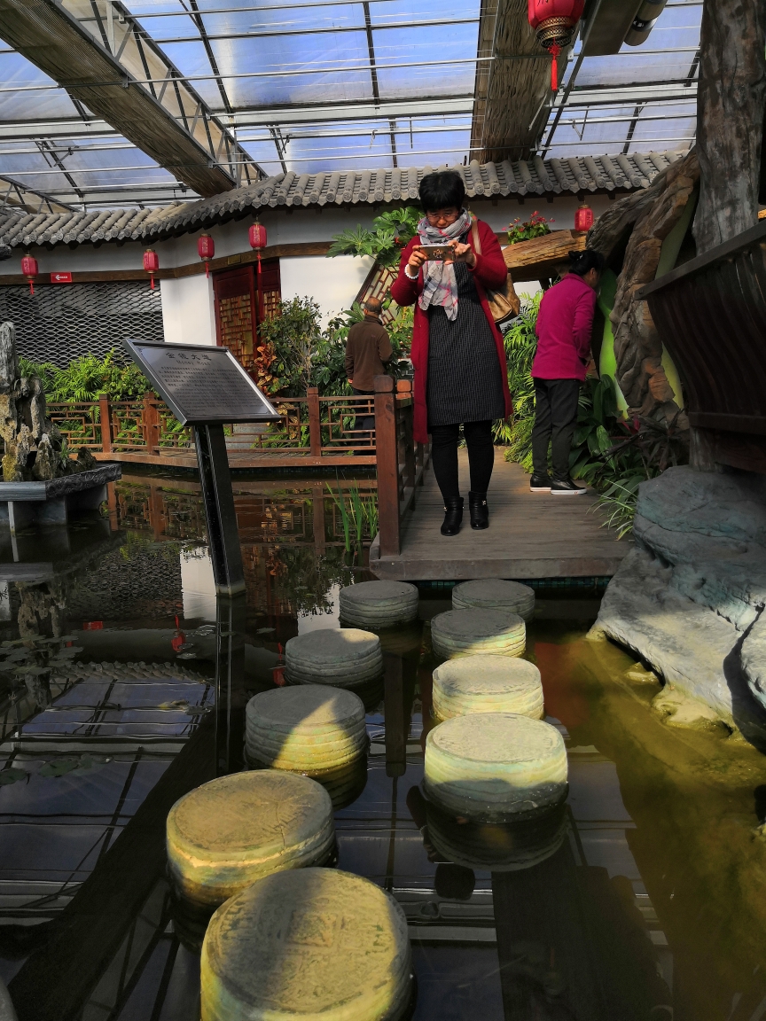 美丽绥滨植物园