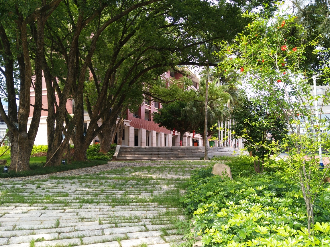 东张中心小学校园一隅