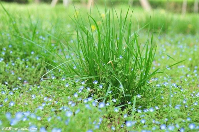 令人仰止的形象 作者: 蒙东农民诗社