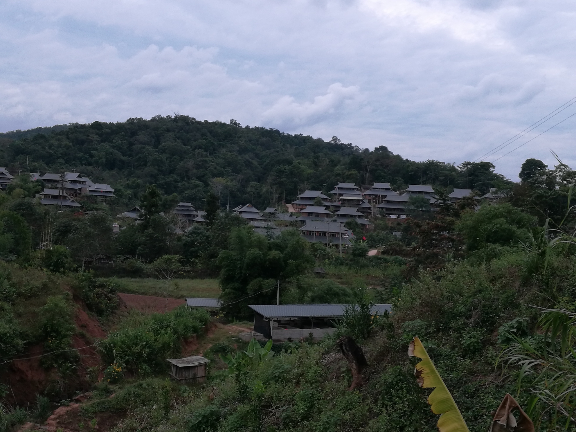 勐腊县勐伴镇红毛树村,经过三年的挂钩扶贫,如今已是旧貌换新颜.