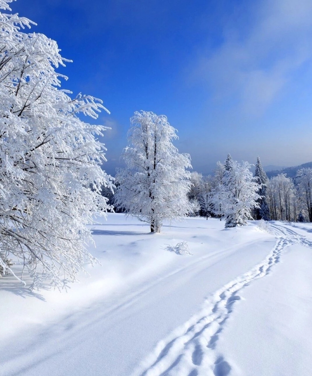 冬雪美景图片图片