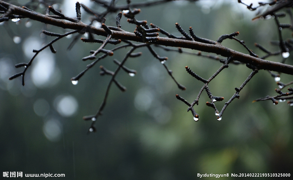 冷冷冰冰的吹入了我心中  伴着撕裂的疼痛  听到梨花带雨如泣如诉的