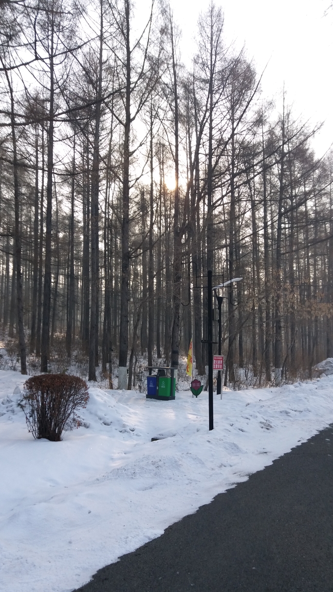 瑞雪豐年,銀裝素裹----賞佳木斯市