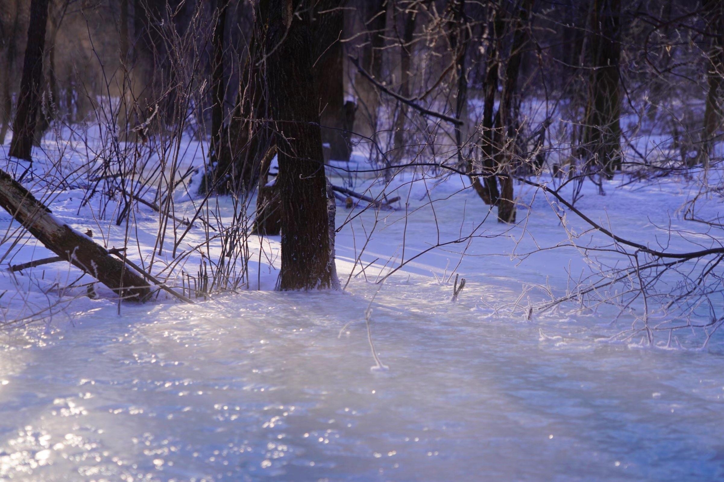徒步雪乡,感受不一样的冰天雪地