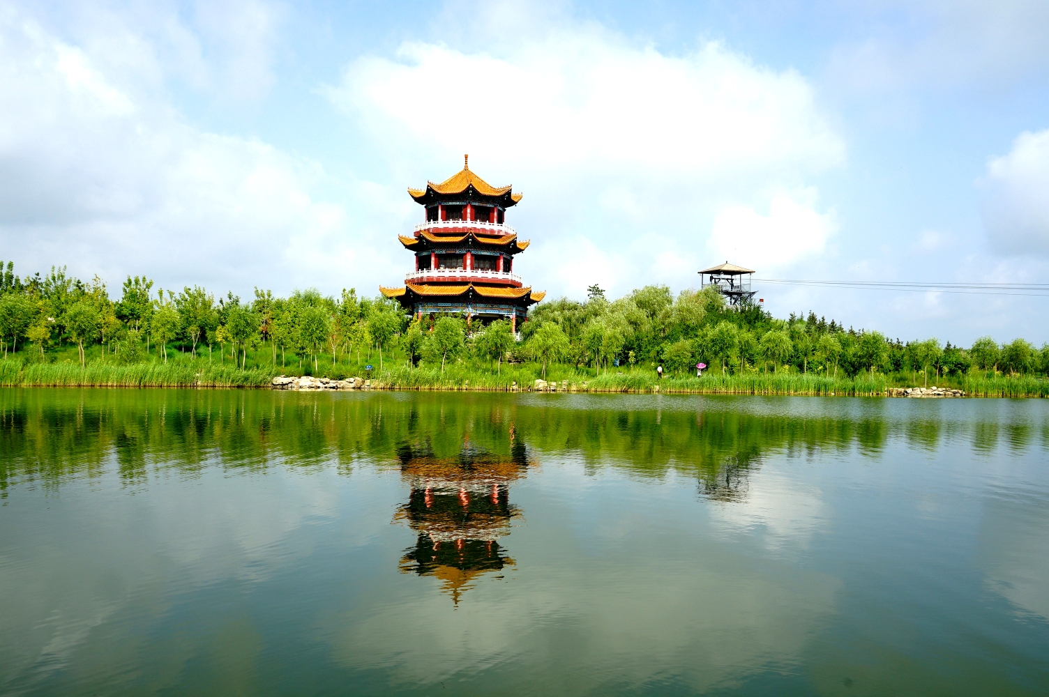 大美湿地__嫩江湾