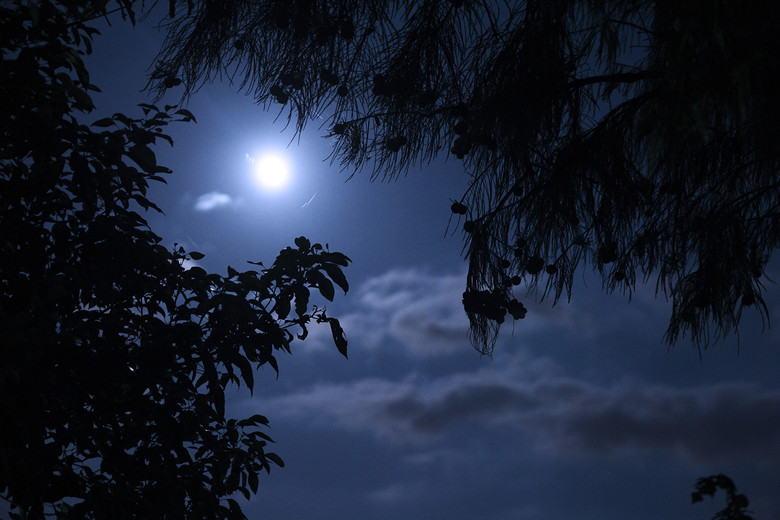 [朦胧夜里谁等候]翻唱/碧海蓝天