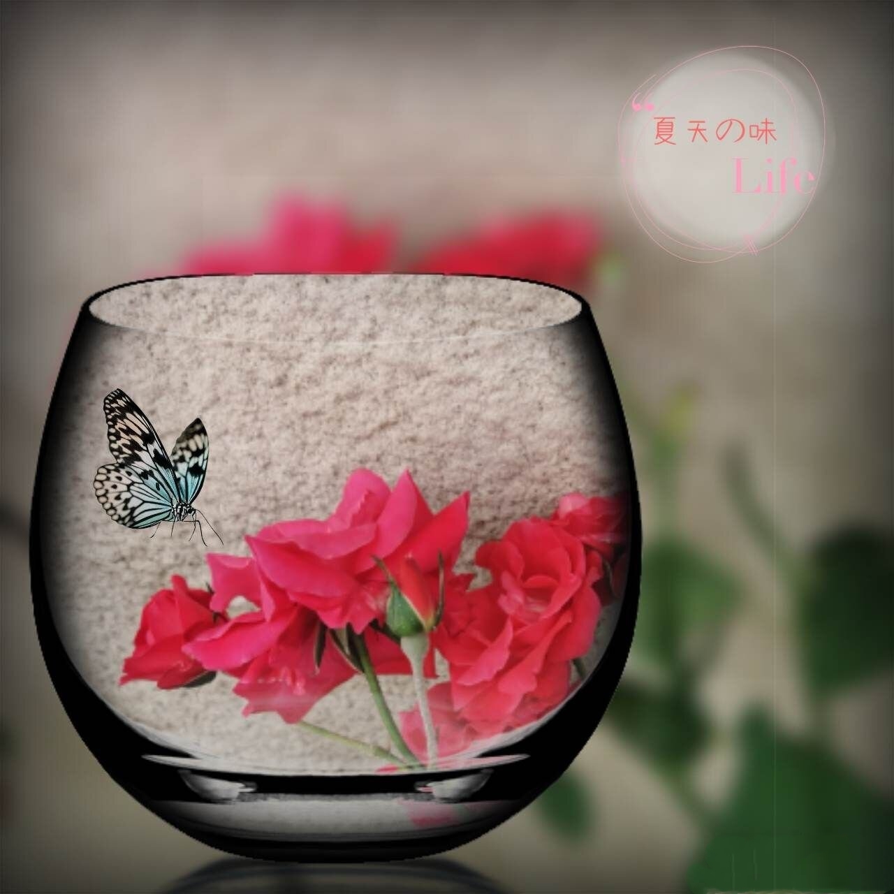 西窗剪烛61合辑第22期